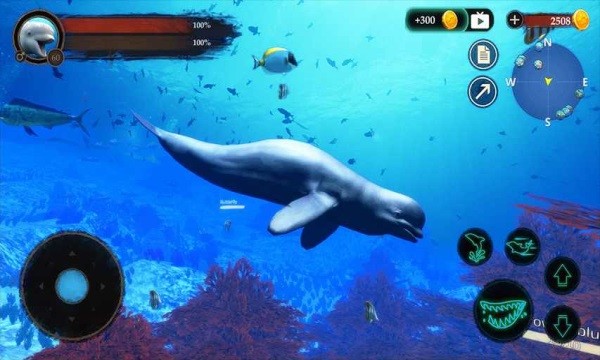 白鯨模擬器手游(The Beluga Whale) v1.0.1 安卓版 0