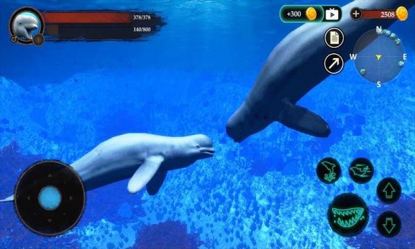 白鯨模擬器手游(The Beluga Whale) v1.0.1 安卓版 2