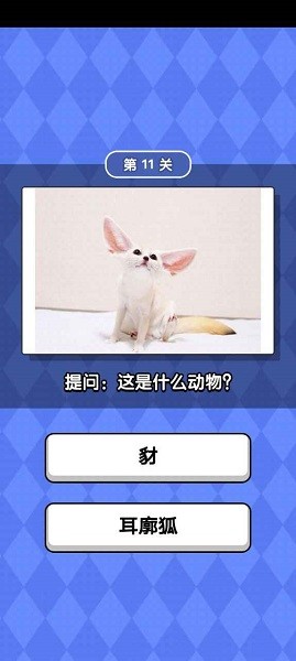 動(dòng)物滑滑樂(lè)手游0