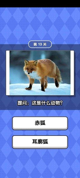 動(dòng)物滑滑樂(lè)手游3