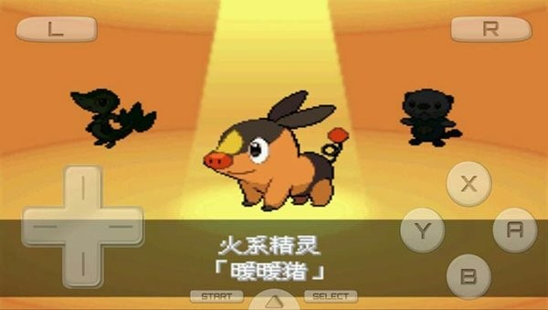 口袋妖怪夢的黑2