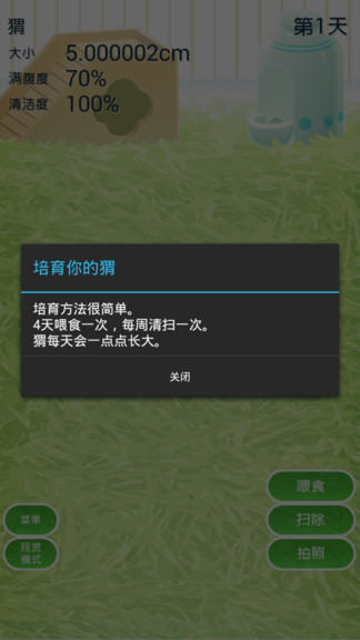 治愈的猬育成 v1.4 安卓版 1