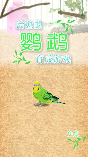 治愈的鸚鵡育成手機版