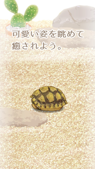 治愈系烏龜中文字幕版 v1.2 安卓版 3