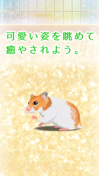 治愈系倉鼠安卓版