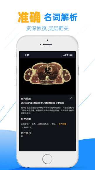 影像學圖譜軟件 v200 最新版 1