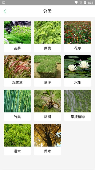 林木種苗app下載