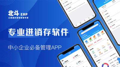 北斗erp進(jìn)銷存app v3.1.6 安卓版 0