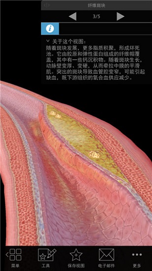 生理和病理學2021最新版 v1.1.06 安卓版 2
