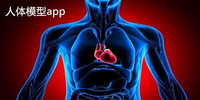 人體模型app推薦-人體模型app下載-人體模型軟件免費(fèi)下載