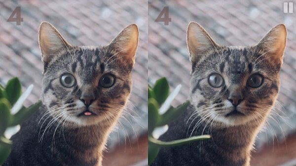 慧眼尋異游戲 v0.1 安卓版 3