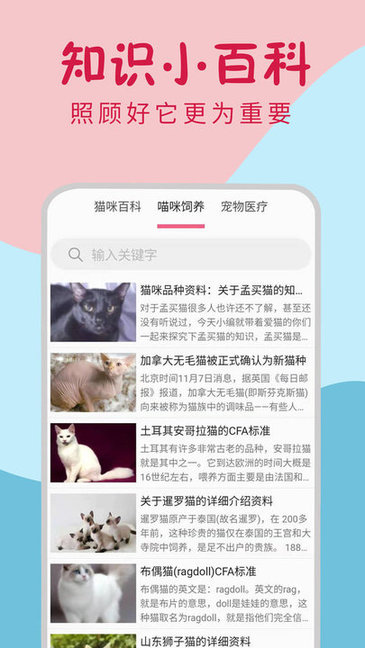 小貓翻譯器免費(fèi)翻譯器0