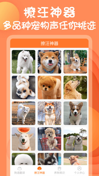 狗狗聊天交流器 v1.3.0 最新版 0