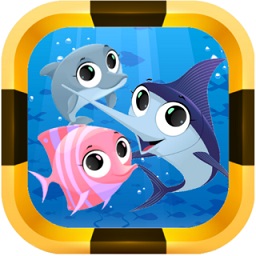養(yǎng)魚迷你水族館