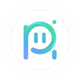 piti(ppt插件)