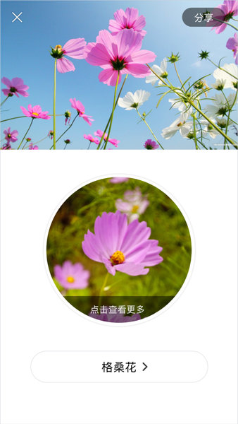 識(shí)花最新版 v1.2.8 安卓版 2