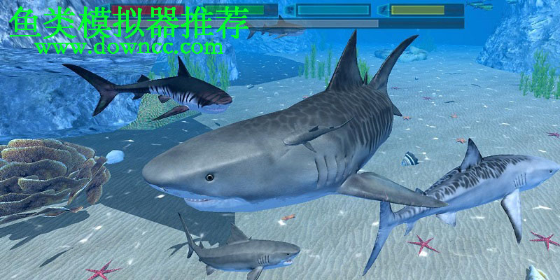 魚類模擬器