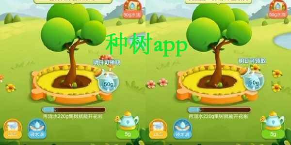 種樹app