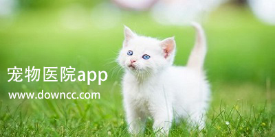 寵物醫(yī)院app