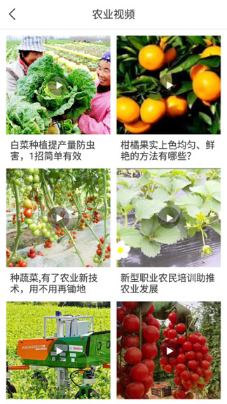 寧農(nóng)寶安卓版