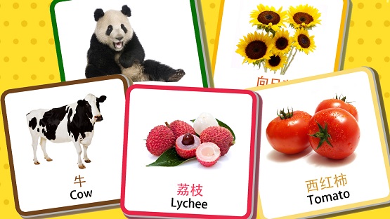 寶寶早教識字卡app v2.14.4 安卓版 1
