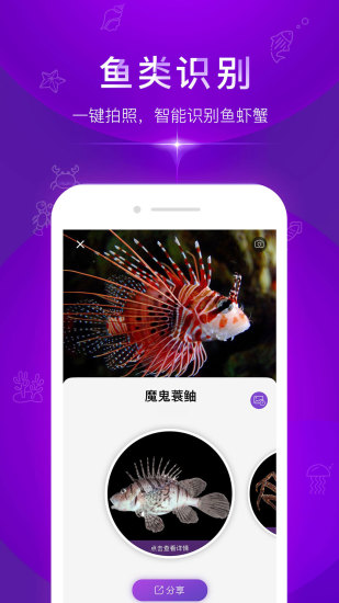 問魚最新版1