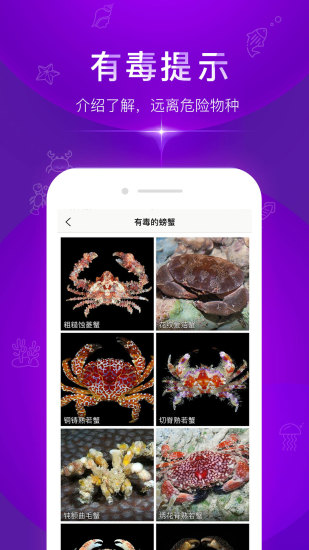 問魚最新版3