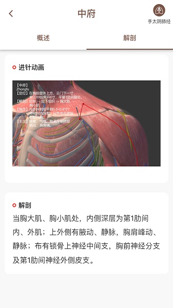 經(jīng)絡(luò)穴位3Dapp