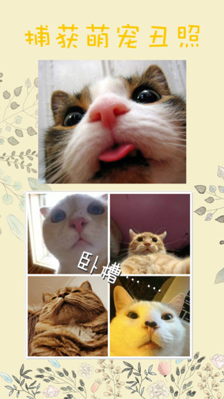喵語翻譯器app