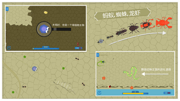 動(dòng)物進(jìn)化論 v1.0.6.1 安卓版 3