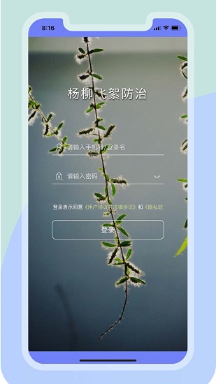 楊柳飛絮防治措施 v1.0.3 安卓版 0