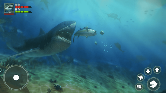 海底大獵殺3d版大魚吃小魚 v1.1 安卓版 1