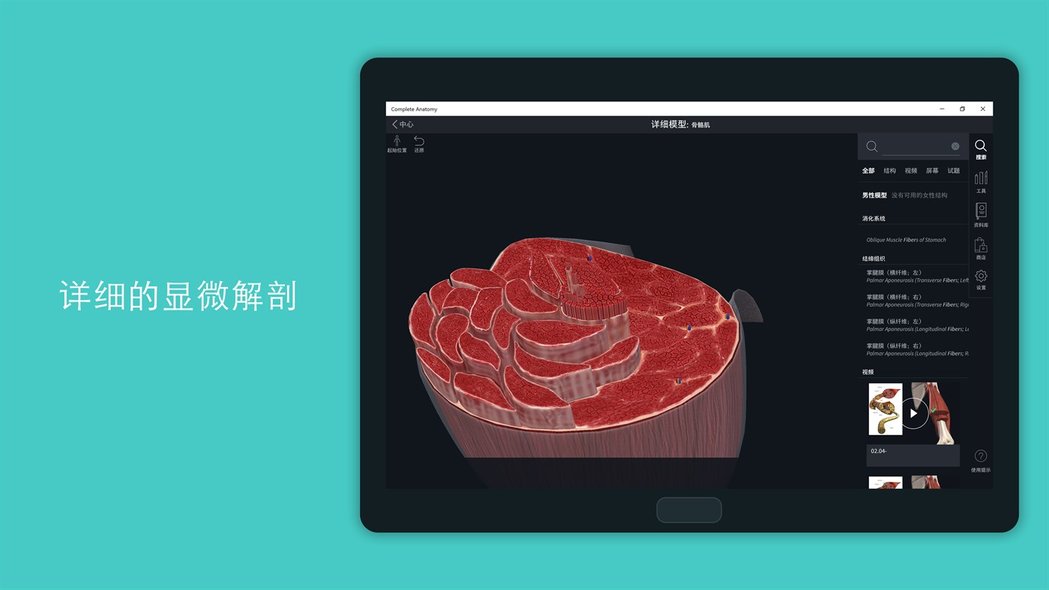 completeanatomy 2021中文版 v7.0.0 官方電腦版 1