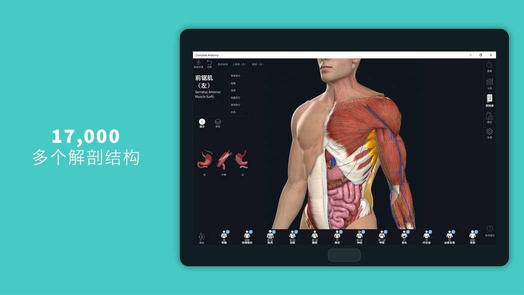 complete anatomy 2021 windows版