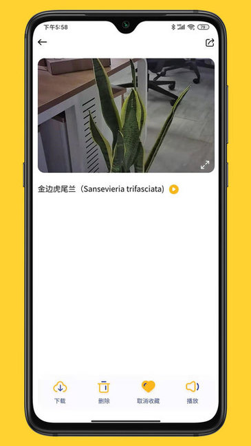 小mo樂園手機(jī)版 v1.1.0 安卓版 0