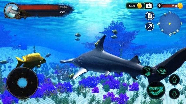 錘頭鯊模擬器3d v1.0.1 安卓版 2