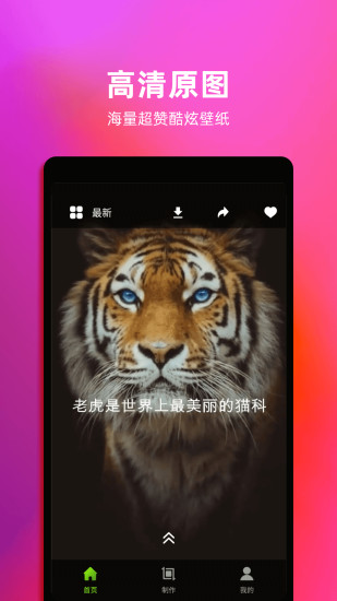 4k動(dòng)態(tài)壁紙手機(jī)壁紙 v1.6 安卓版 3