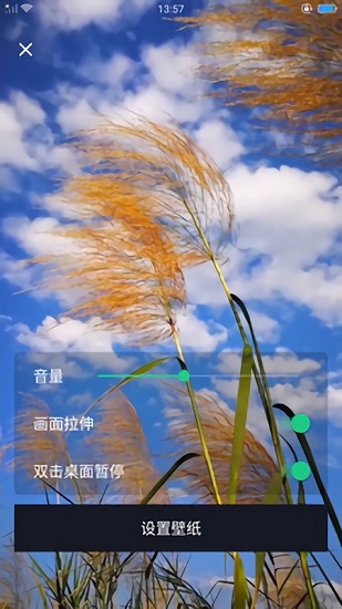dk主題商店官方版 v6.1.3 安卓版 3