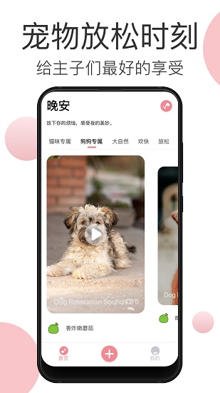 寵物音樂app