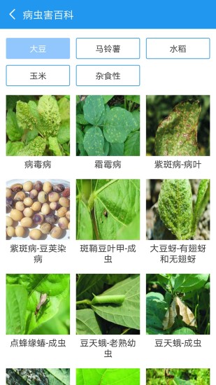 病蟲害測報安卓版