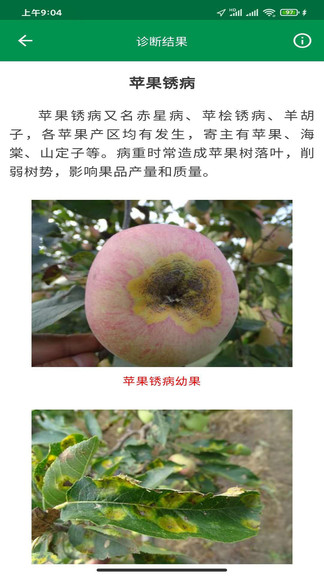 很準(zhǔn)農(nóng)醫(yī)手機版