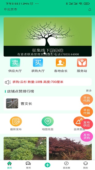 苗木人1