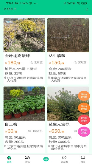 苗木人2