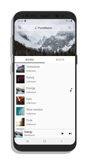 puremusic軟件下載