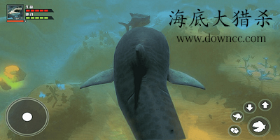 海底大獵殺