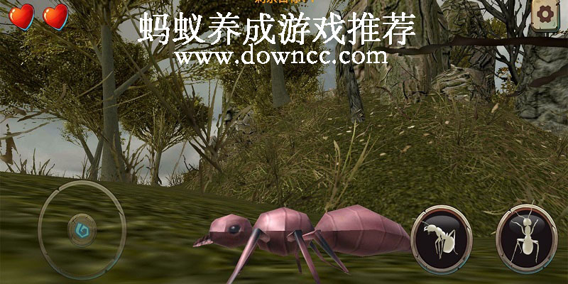 螞蟻養(yǎng)成游戲