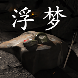 孫美琪疑案浮夢(mèng)游戲