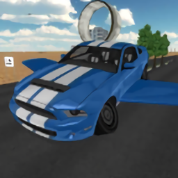 飛行汽車(chē)駕駛2021