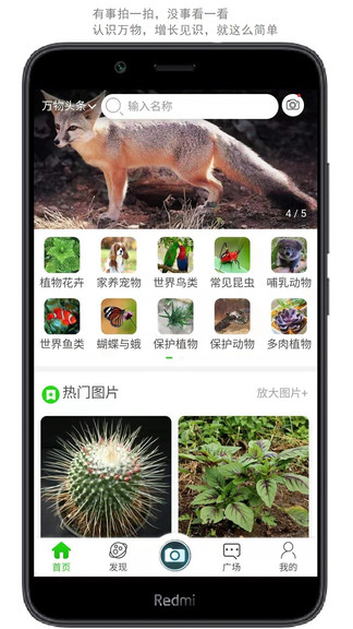 萬(wàn)物頭條app