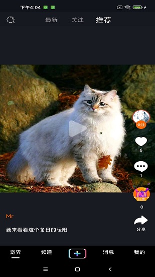 寵艾app
